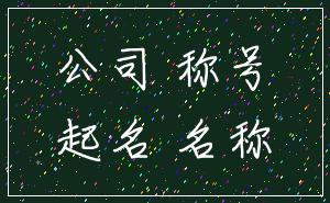公司 称号_起名 名称