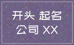 开头 起名_公司 XX