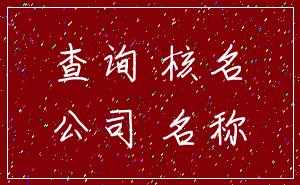 查询 核名_公司 名称