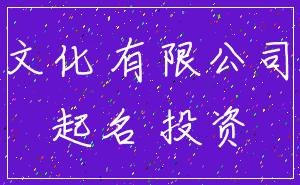 文化 有限公司_起名 投资