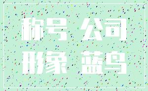 称号 公司_形象 蓝鸟