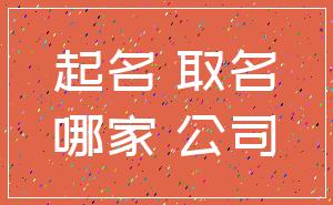 起名 取名_哪家 公司