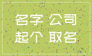 名字 公司_起个 取名
