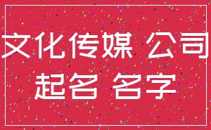 文化传媒 公司_起名 名字