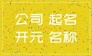 公司 起名_开元 名称