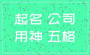 起名 公司_用神 五格