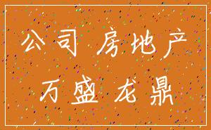 公司 房地产_万盛 龙鼎