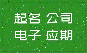 起名 公司_电子 应期