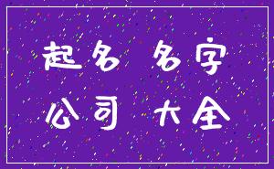 起名 名字_公司 大全