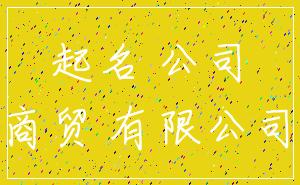 起名 公司_商贸 有限公司