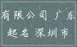 有限公司 广东_起名 深圳市