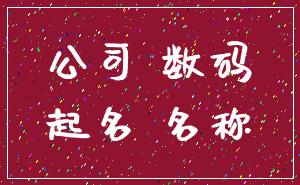 公司 数码_起名 名称