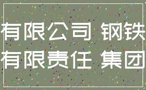 有限公司 钢铁_有限责任 集团