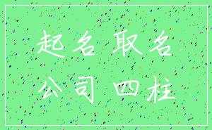 起名 取名_公司 四柱