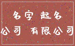 名字 起名_公司 有限公司