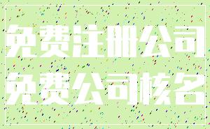 免费注册公司_免费公司核名