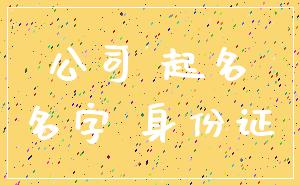 公司 起名_名字 身份证