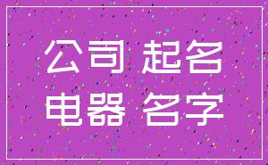 公司 起名_电器 名字