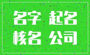 名字 起名_核名 公司
