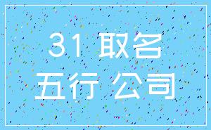 31 取名_五行 公司