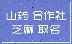 山药 合作社_芝麻 取名