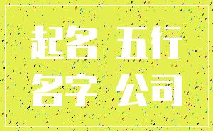 起名 五行_名字 公司