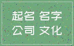 起名 名字_公司 文化