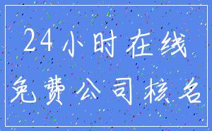 24小时在线_免费公司核名