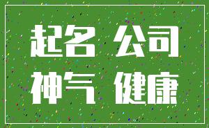起名 公司_神气 健康