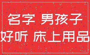 名字 男孩子_好听 床上用品