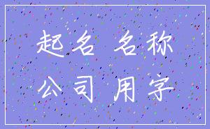 起名 名称_公司 用字