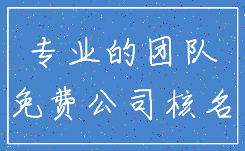 专业的团队_免费公司核名