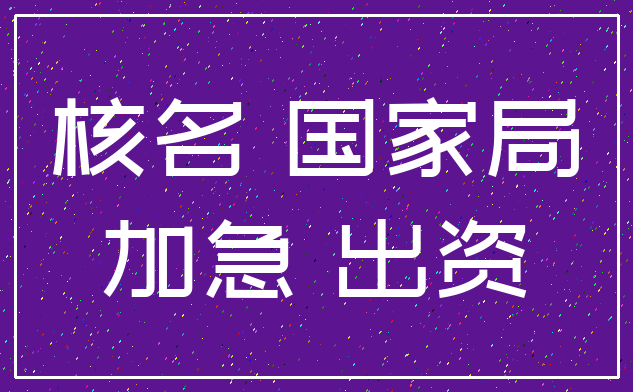 核名 国家局_加急 出资