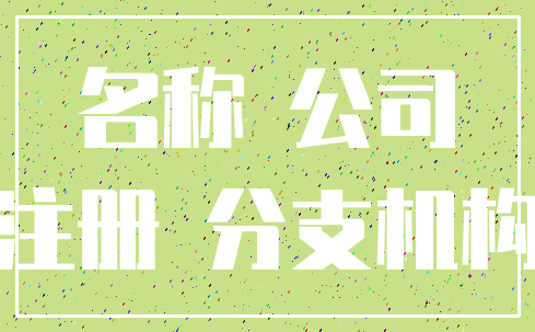 名称 公司_注册 分支机构