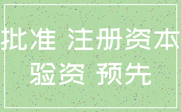 批准 注册资本_验资 预先