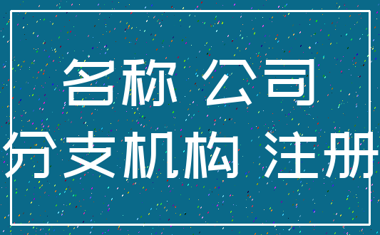 名称 公司_分支机构 注册
