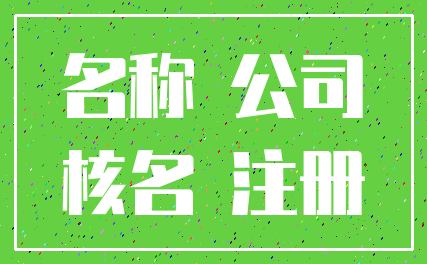 名称 公司_核名 注册