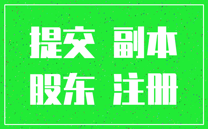 提交 副本_股东 注册