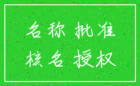 名称 批准_核名 授权