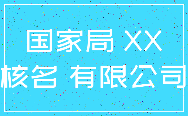 国家局 XX_核名 有限公司