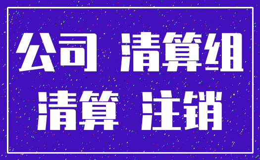 公司 清算组_清算 注销