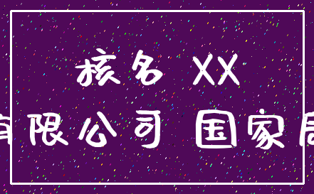 核名 XX_有限公司 国家局