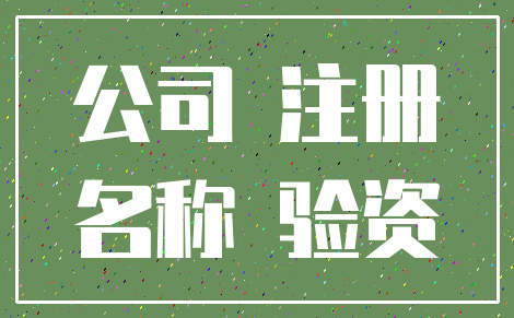 公司 注册_名称 验资