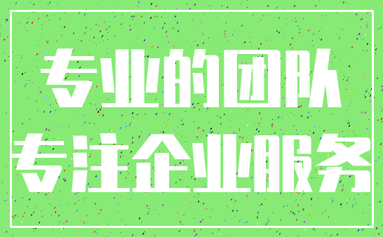 专业的团队_专注企业服务