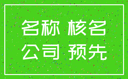 名称 核名_公司 预先