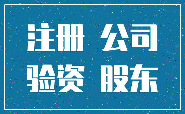 注册 公司_验资 股东