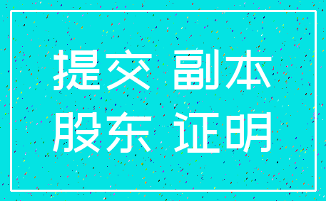 提交 副本_股东 证明
