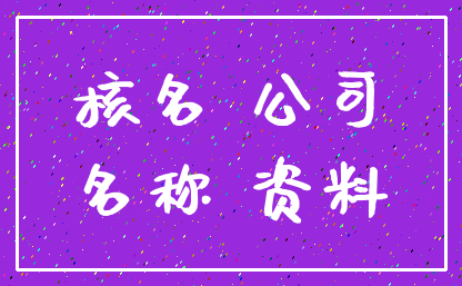 核名 公司_名称 资料