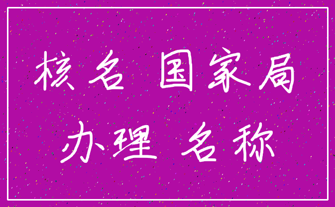 核名 国家局_办理 名称