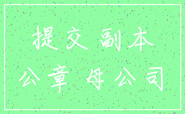 提交 副本_公章 母公司